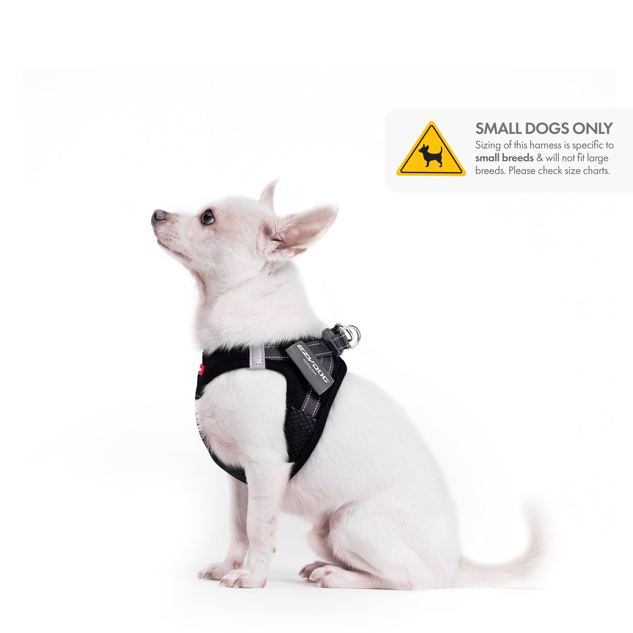 Small Dog Accessories