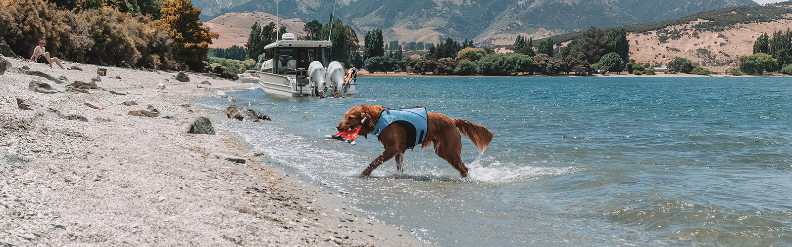 Coastal Walks And Beach Days