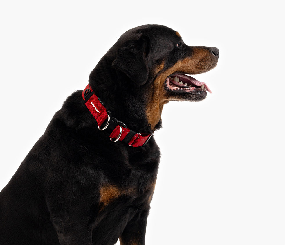 Soft Dog Collars