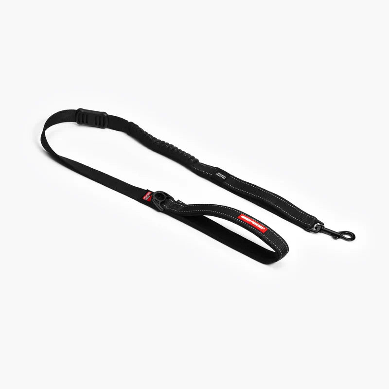Shock Absorbing Dog Leash