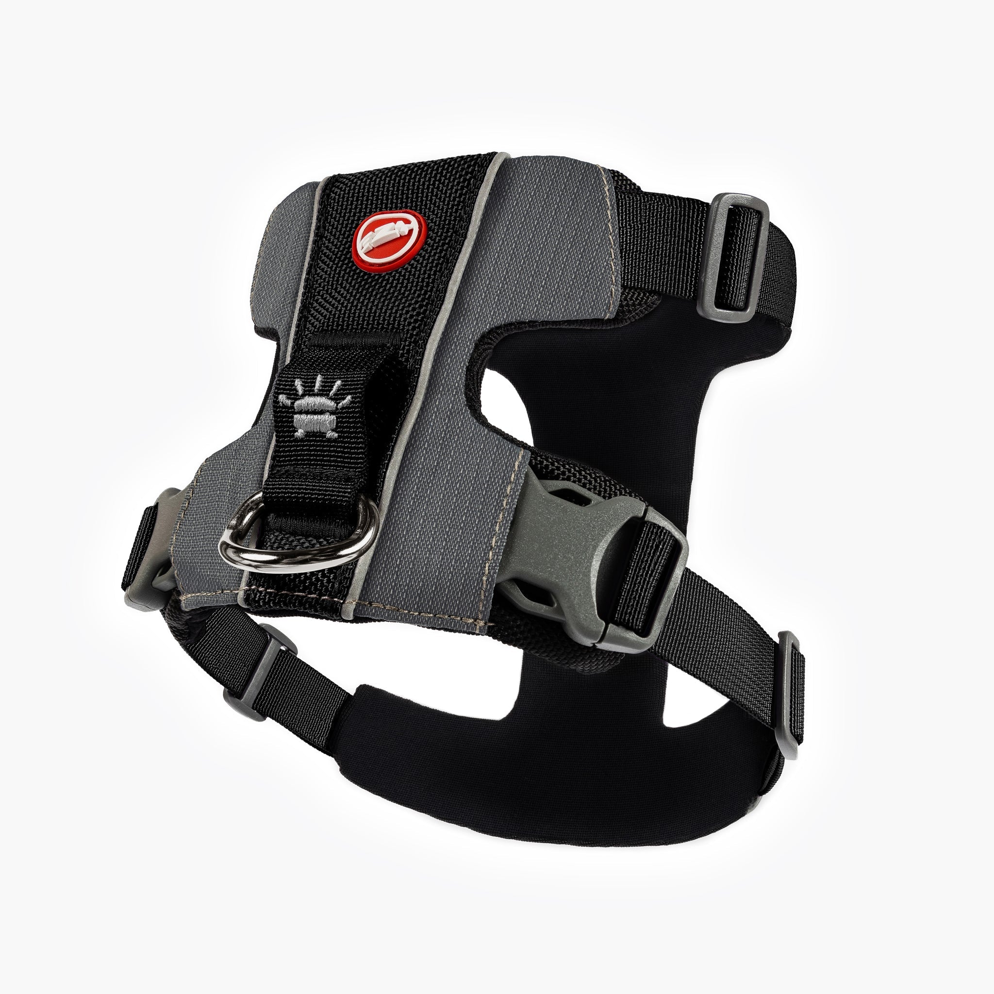 Medium Dog Accessories