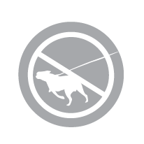 Non-Pull Dog Accessories