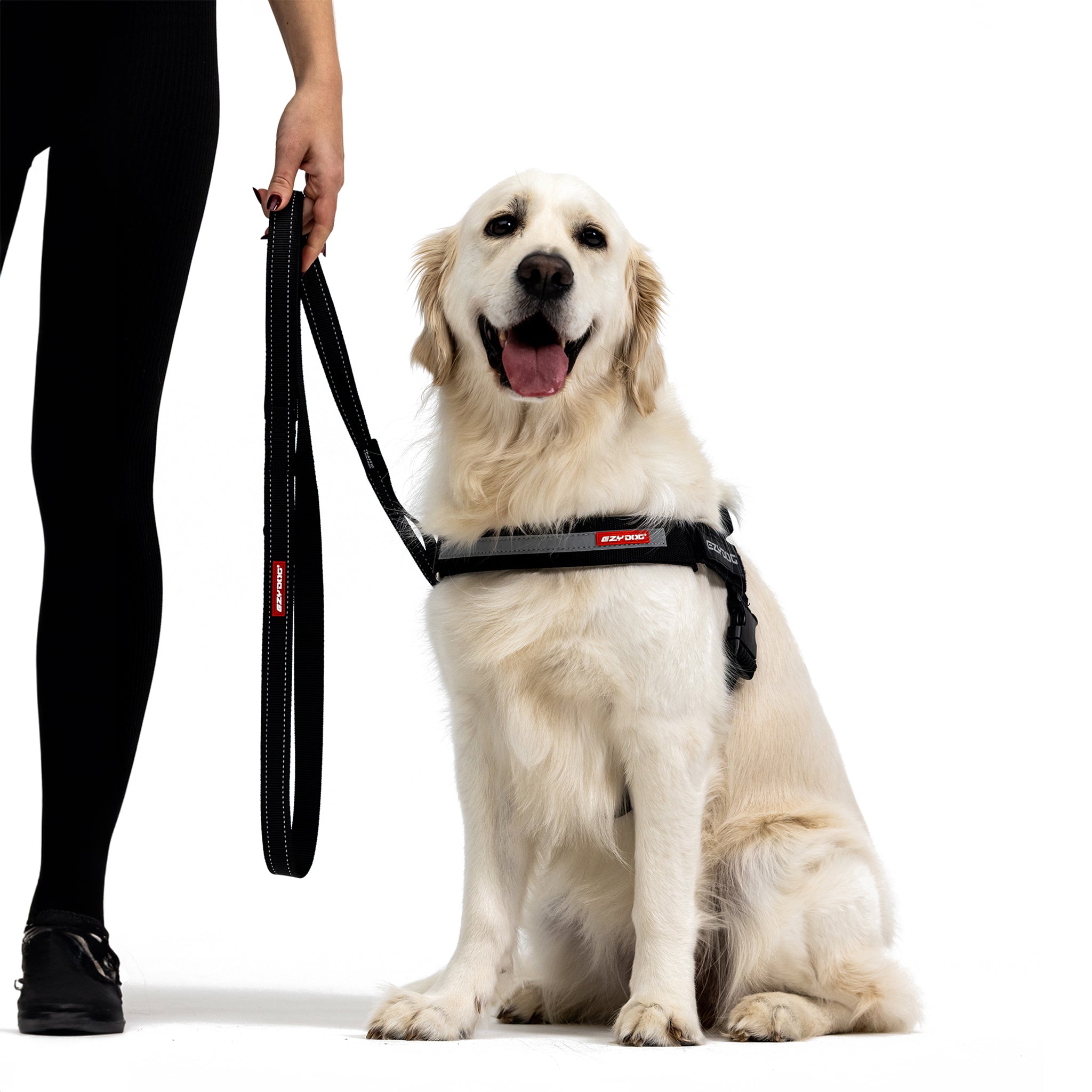 Dog with Soft Trainer Leash - Denim