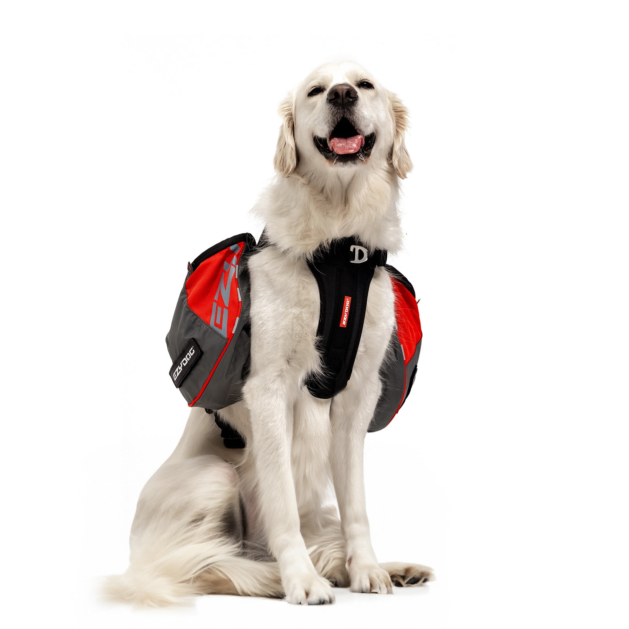 Dog with EzyDog Summit Backpack