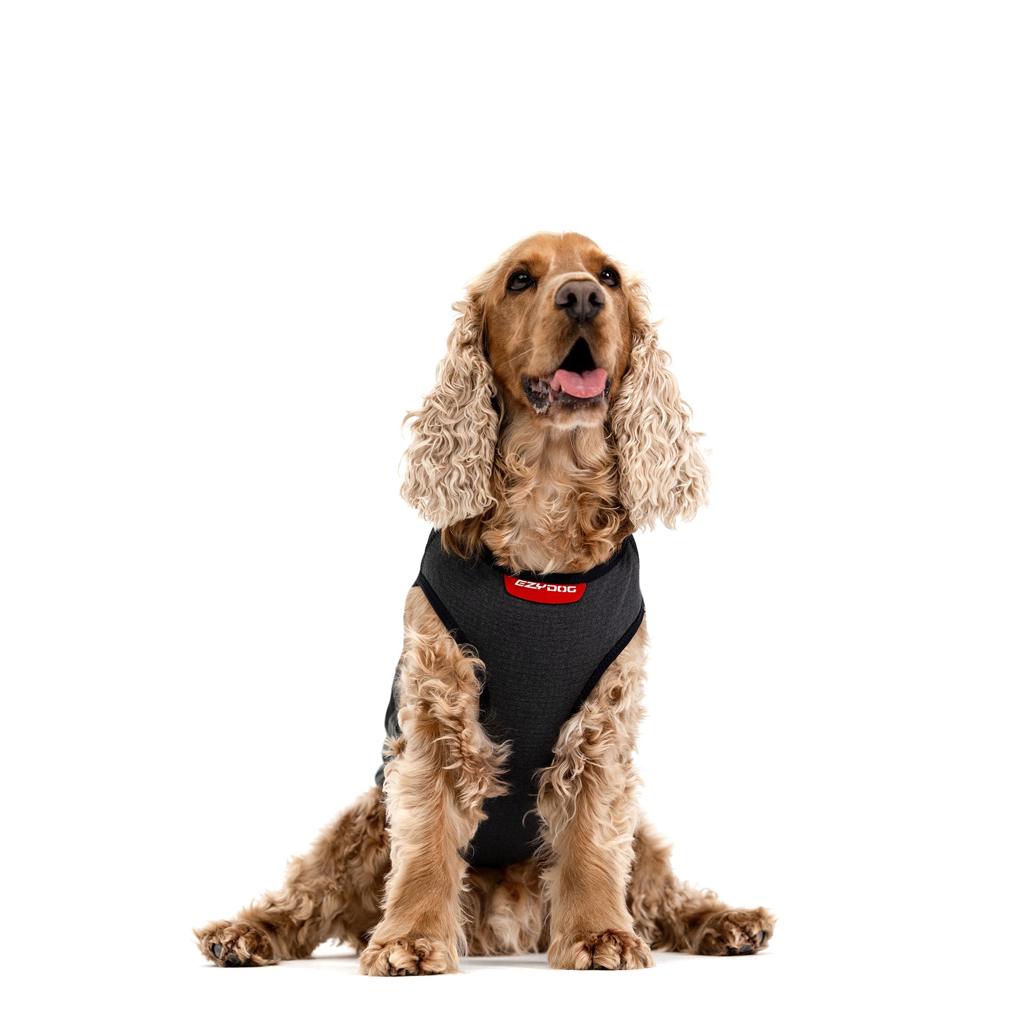 Thermal Dog Vest