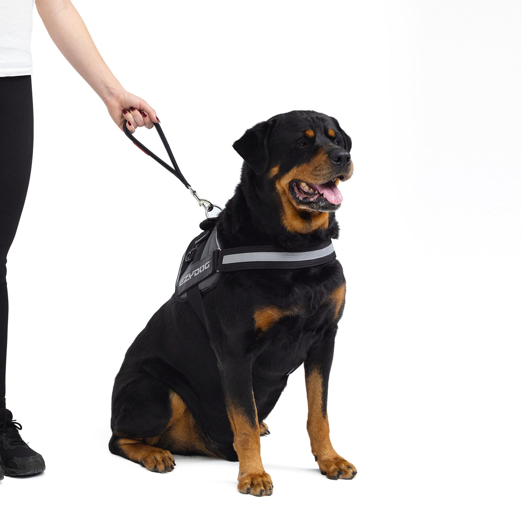 EzyDog Neo Mongrel in Black