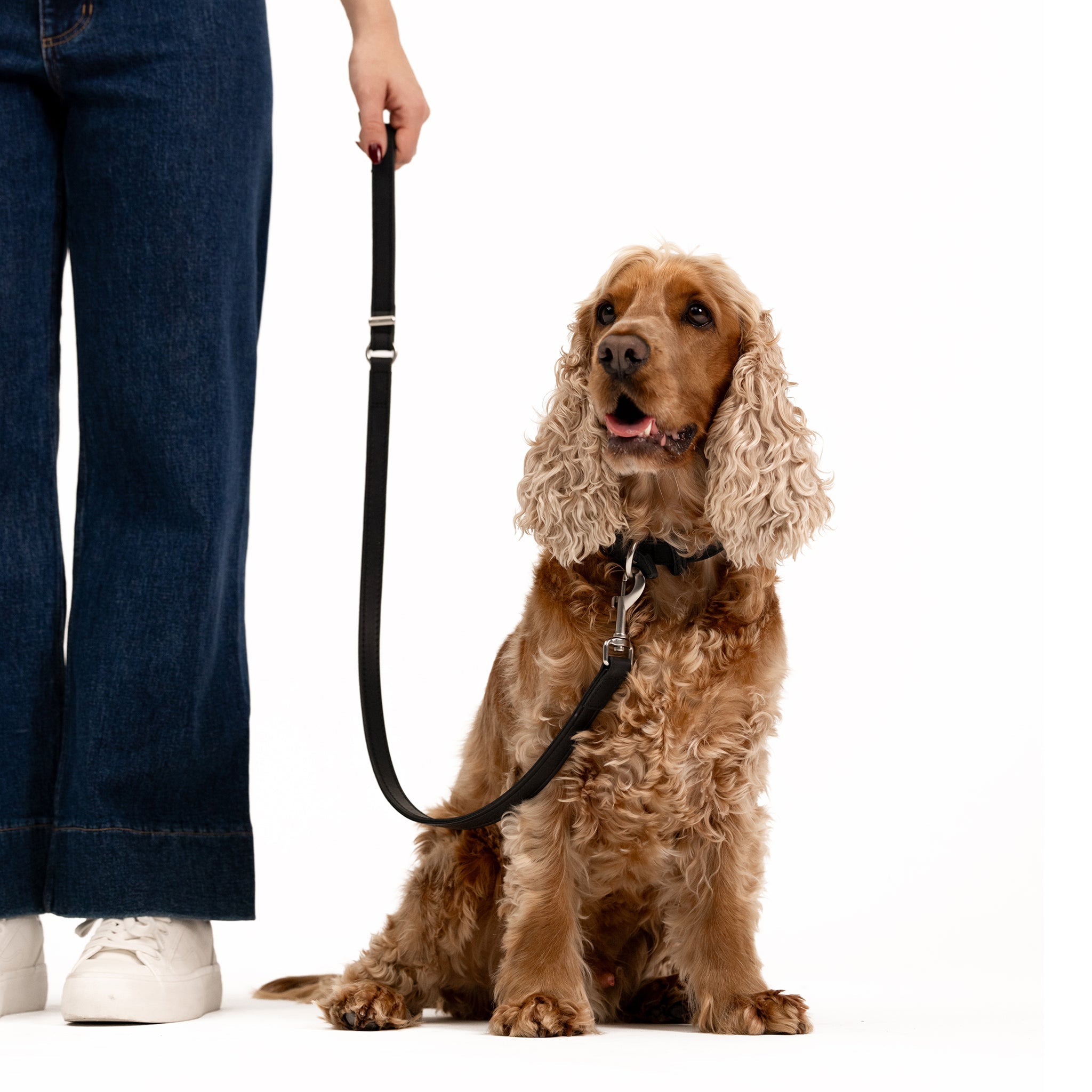 Oxford leather leash
