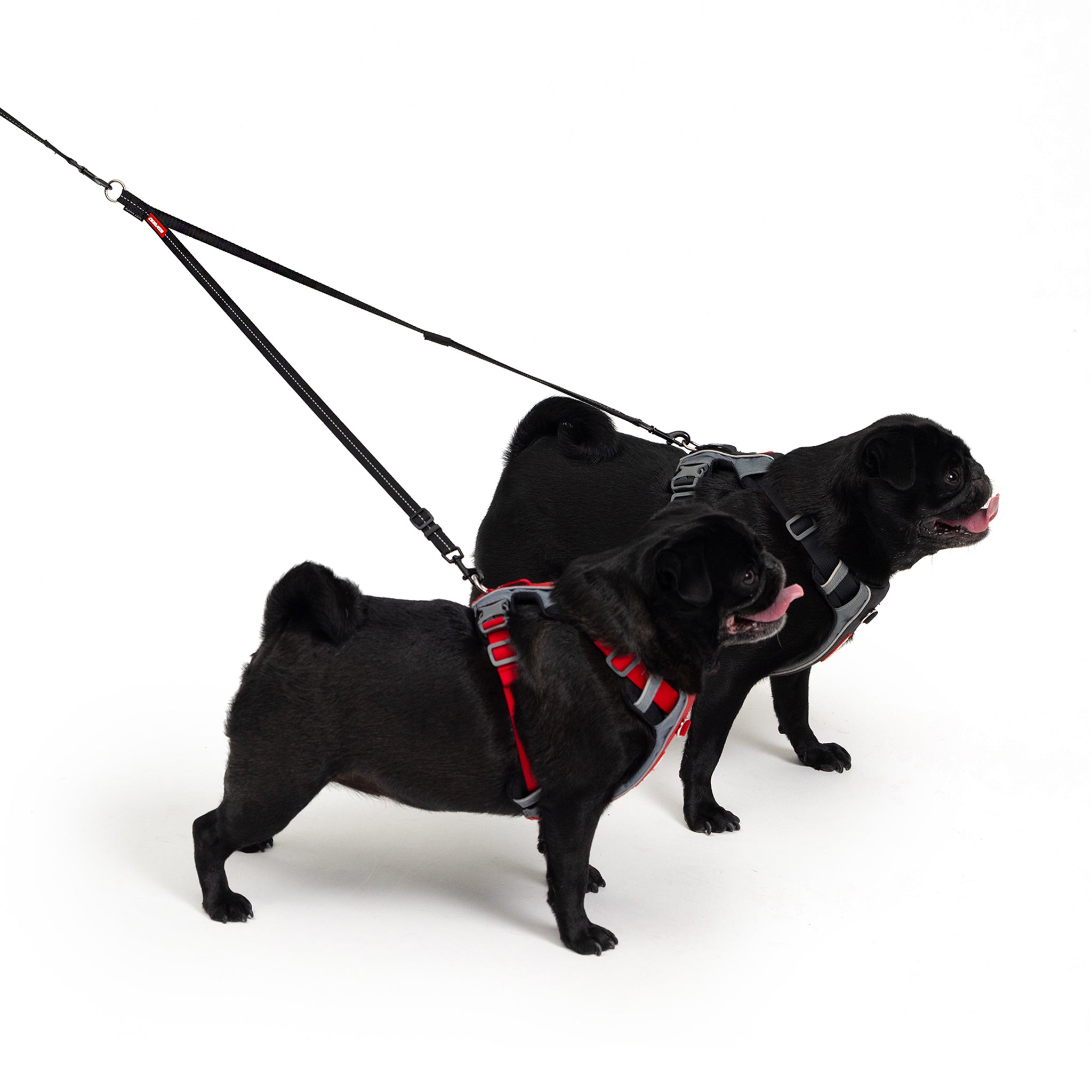EzyDog Soft touch coupler
