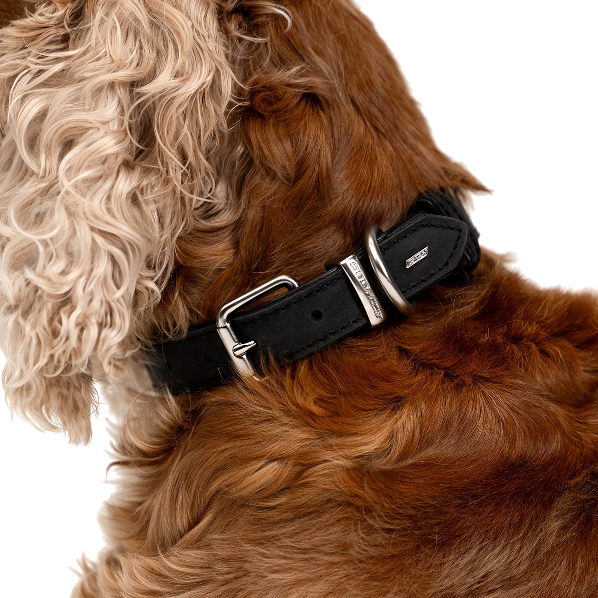 Oxford leather Collar