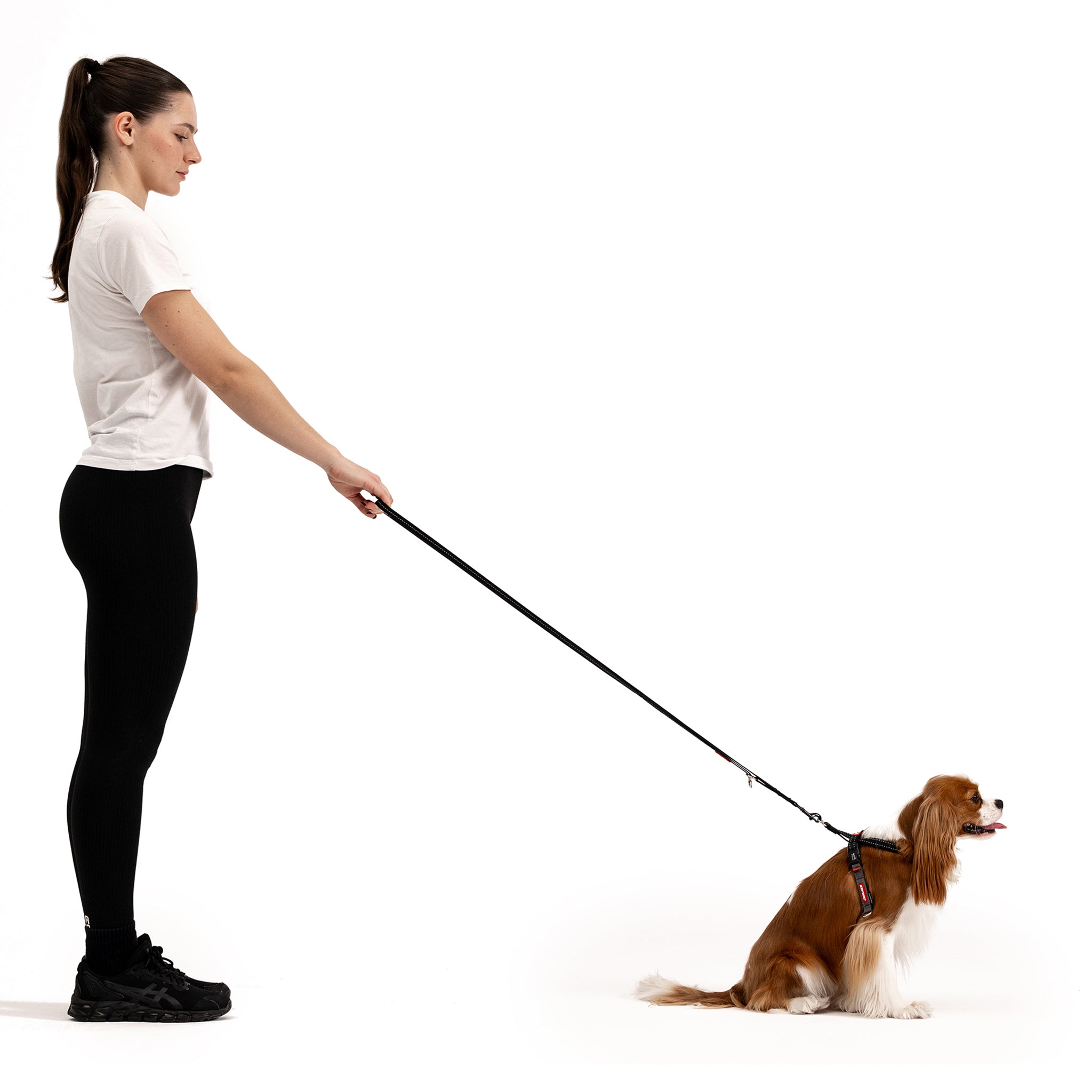 woman and a small dog with Vario 4 LITE Leash