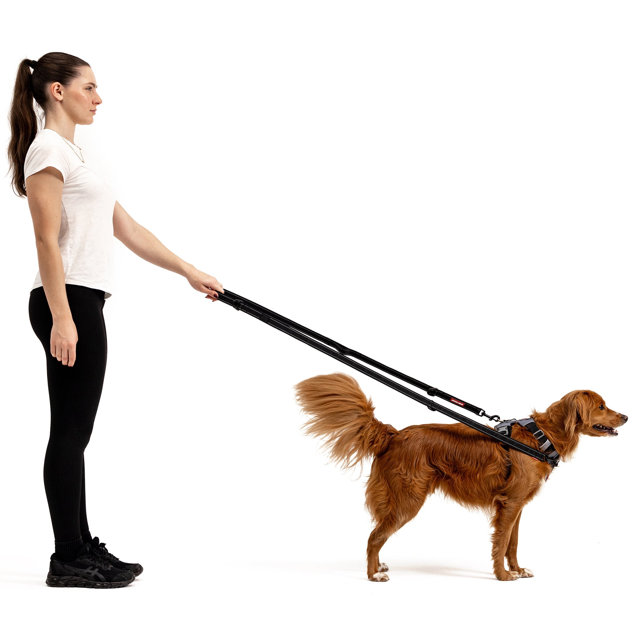 Woman walking a dog with EzyDog Vario 6 Multi-Function Leash