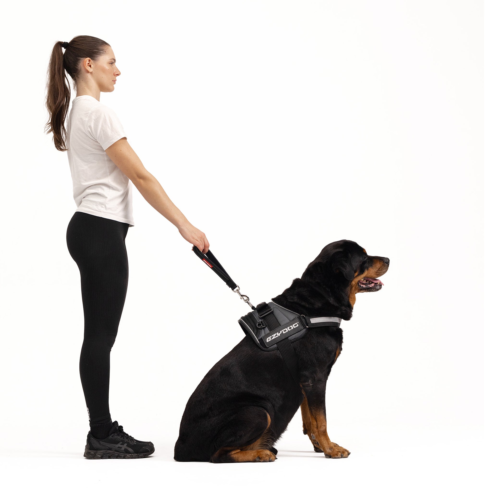 EzyDog Neo Mongrel in Black
