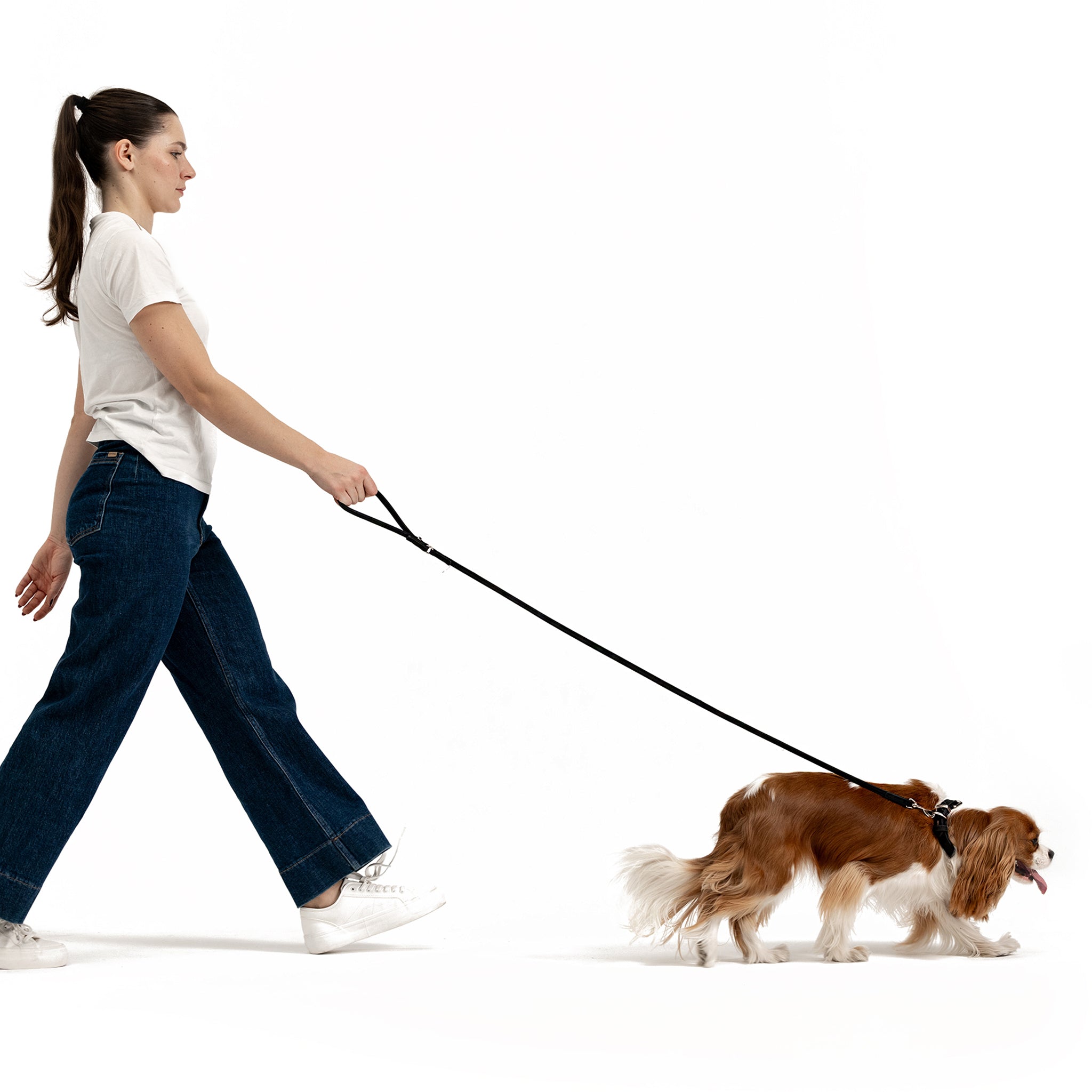 Oxford leather leash lite