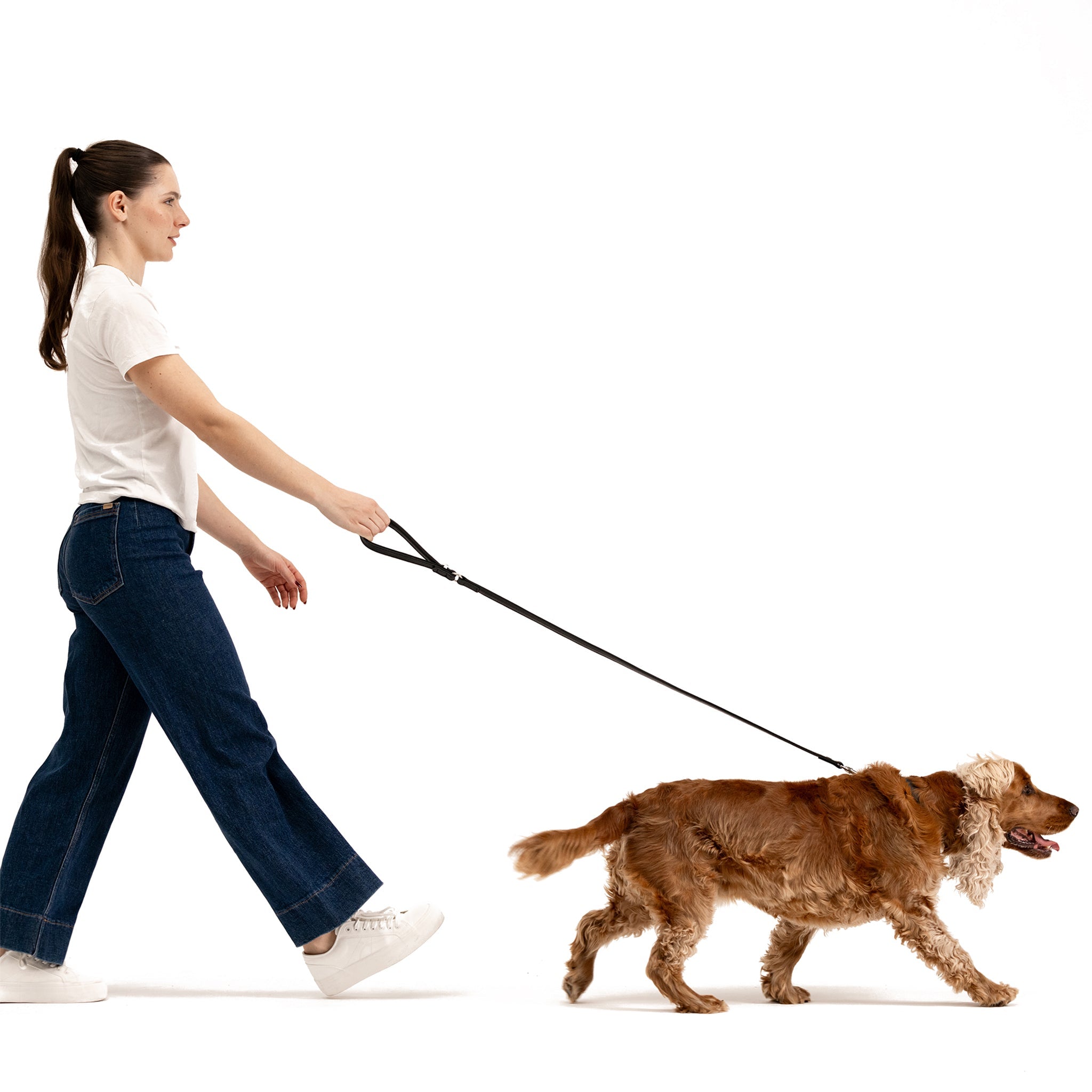 Oxford leather leash