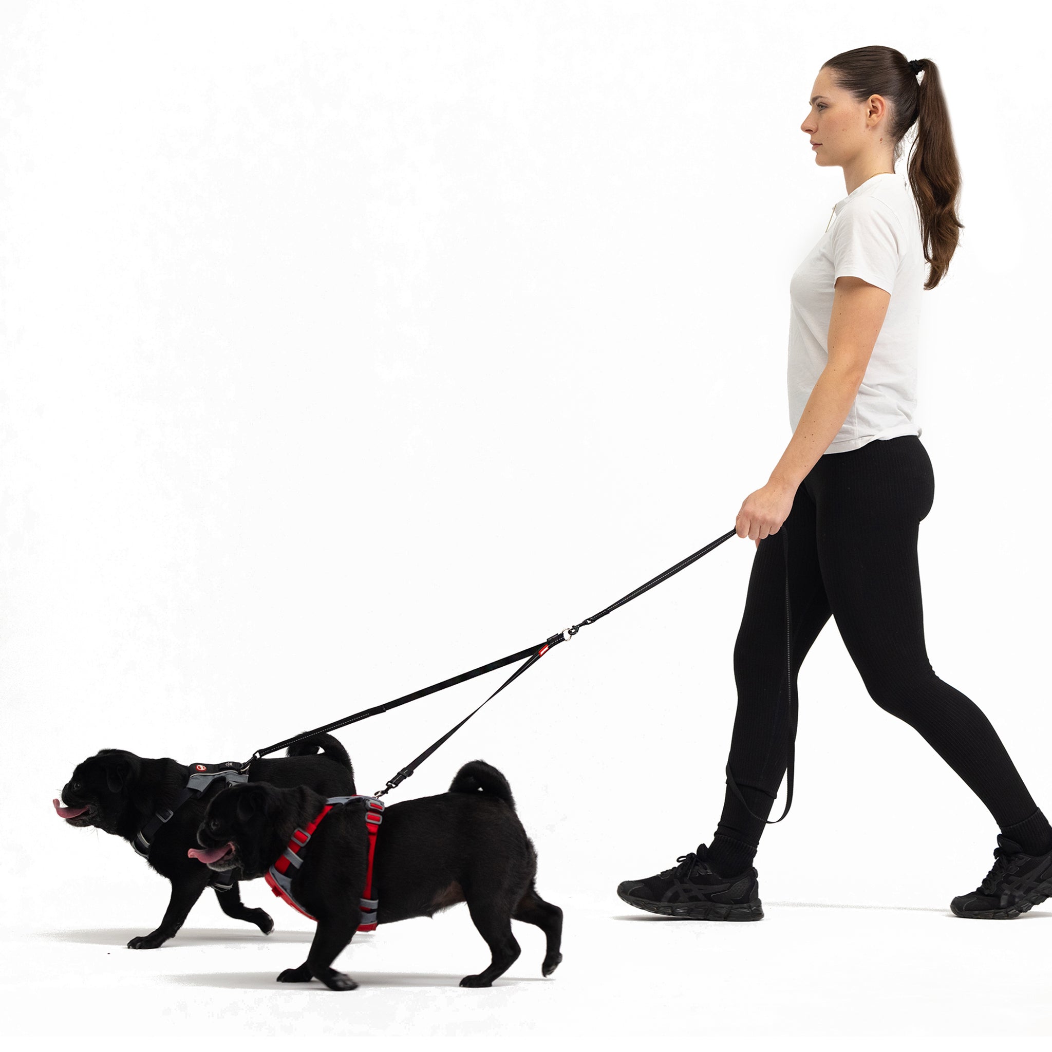 EzyDog Soft touch coupler