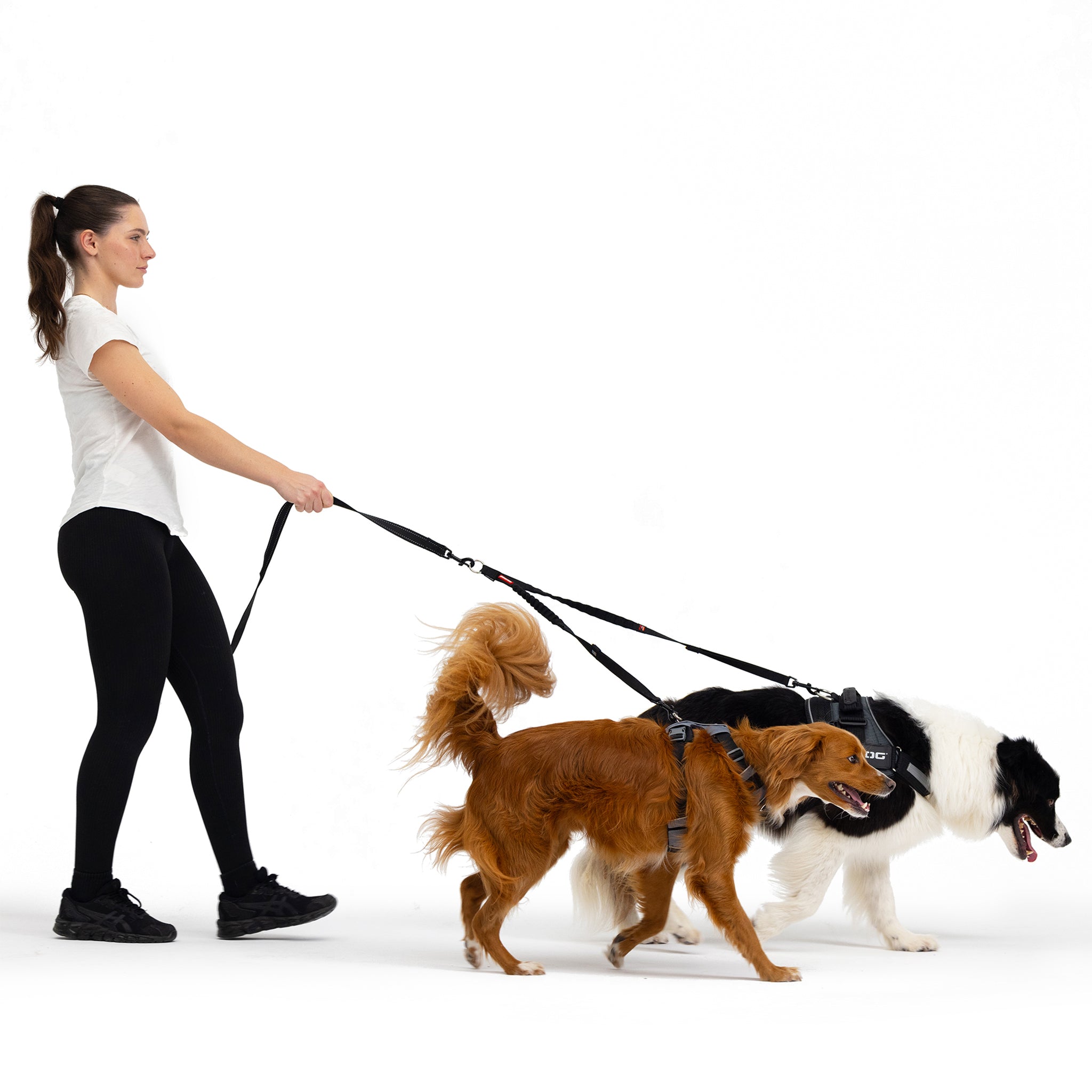 woman walking two dogs with EzyDog Zero Shock Coupler