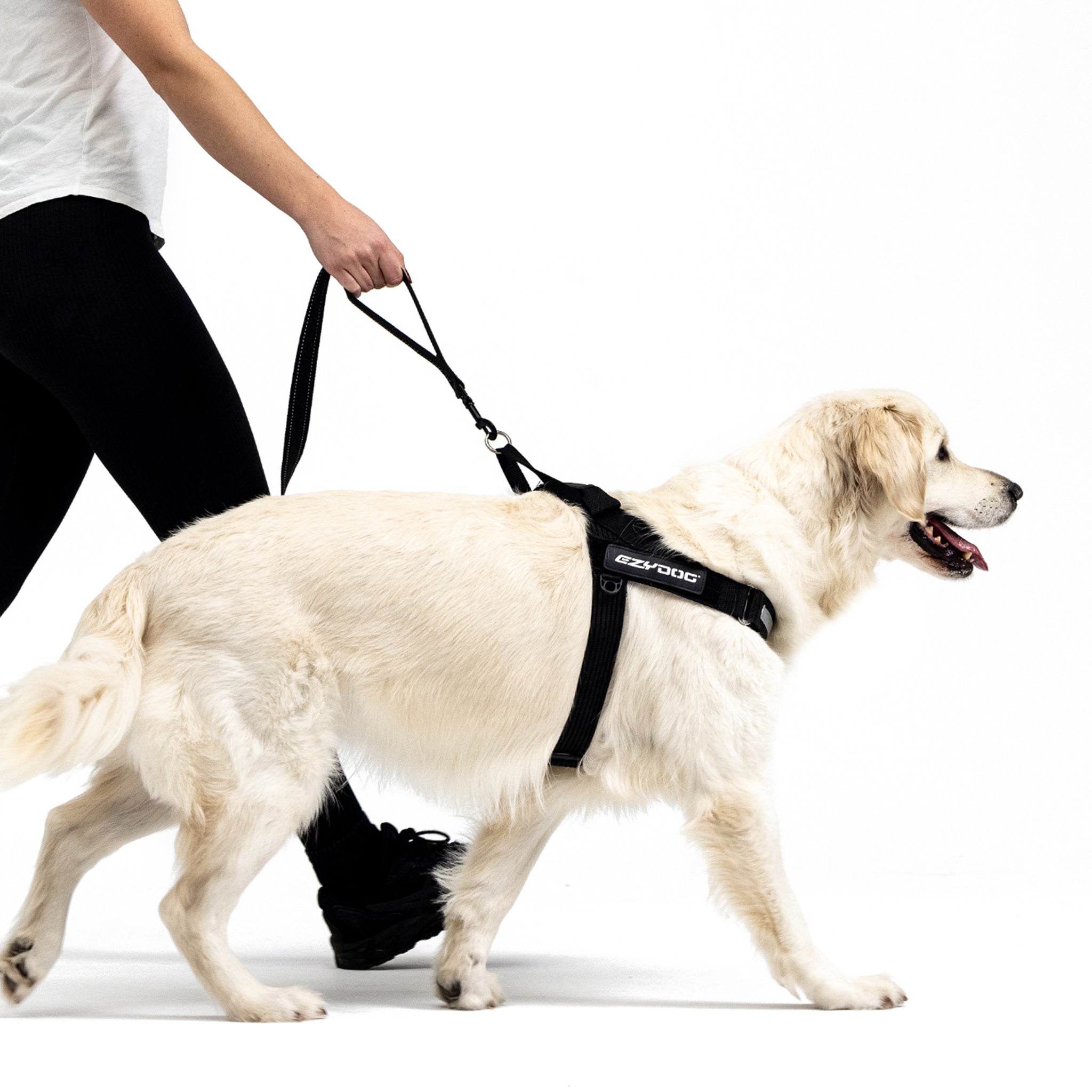 dog walking with Soft Trainer Leash - Denim