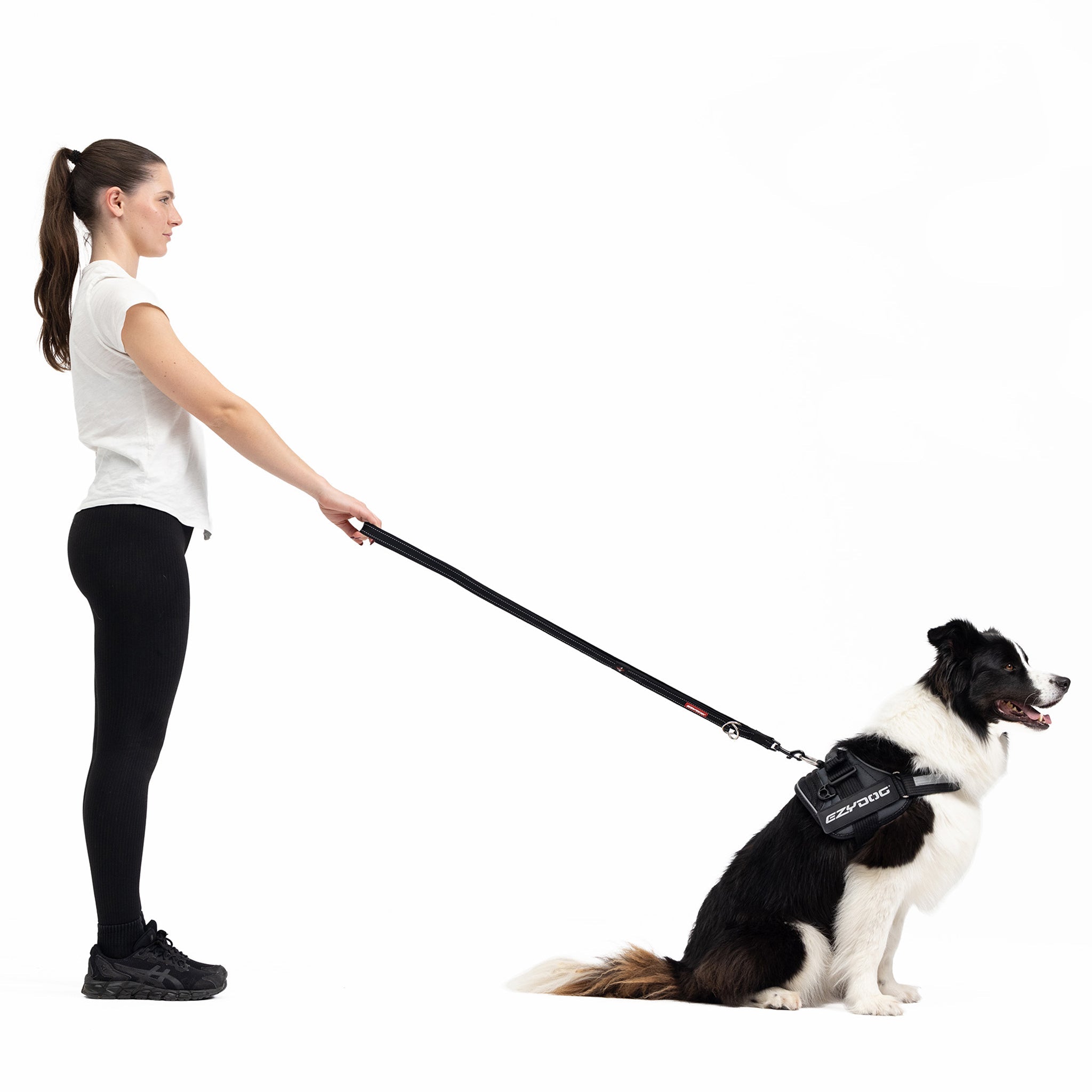 woman holding a dog with EzyDog Vario 4 Multi-Function Leash