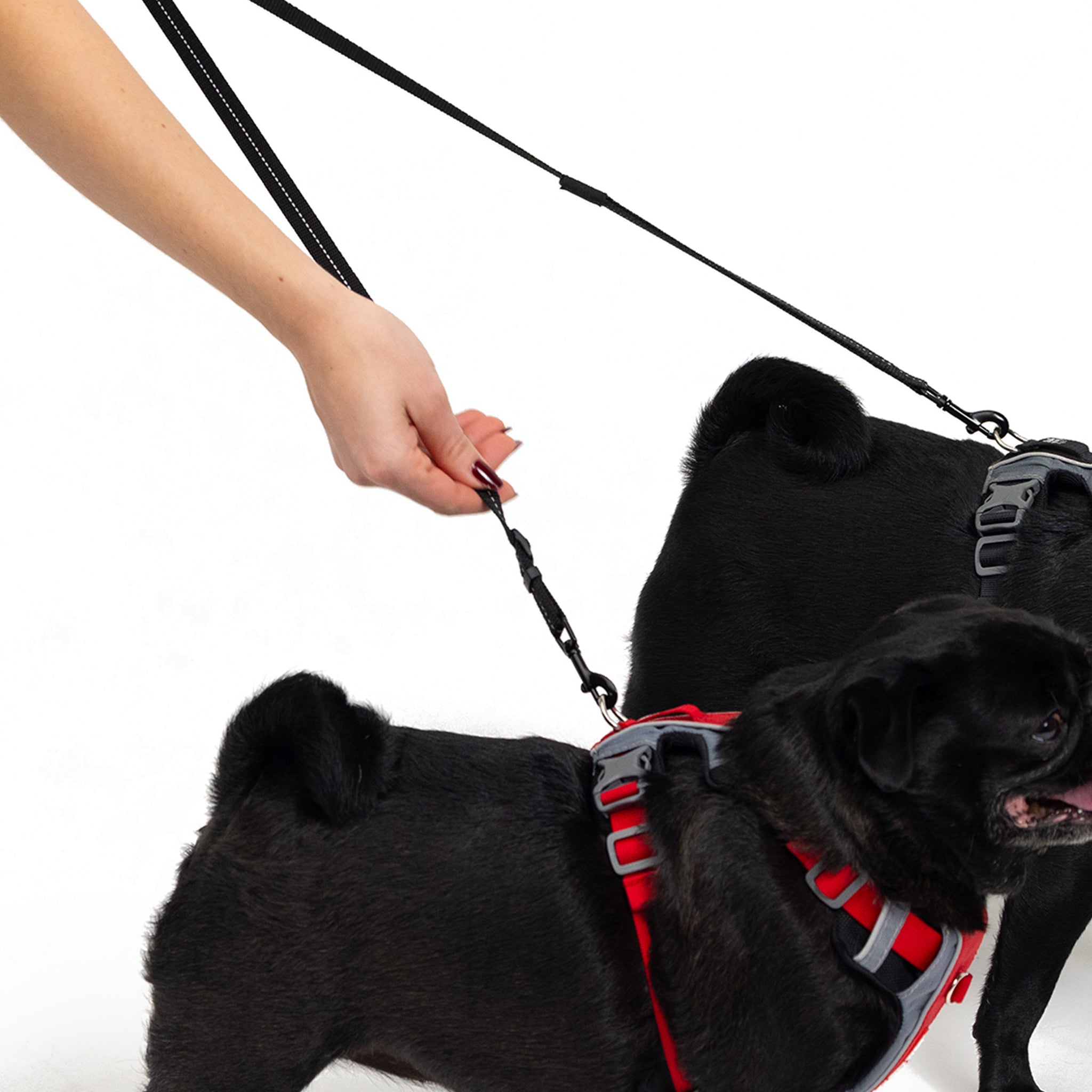 EzyDog soft touch coupler