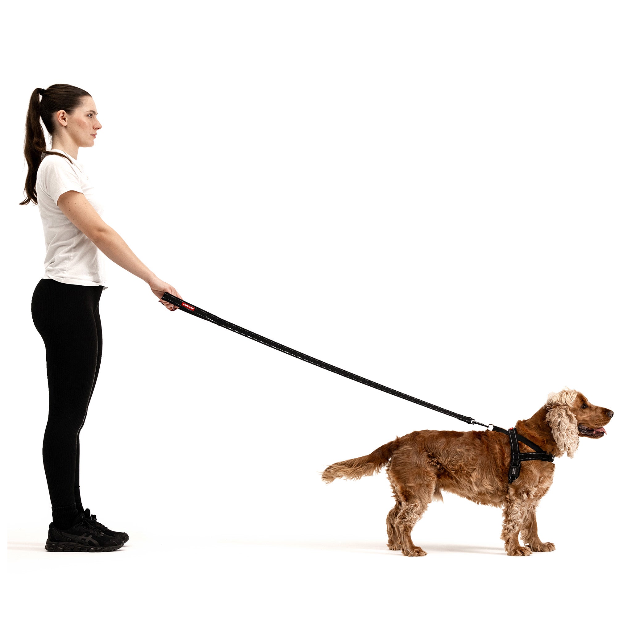 Quick Fit Dog Harness