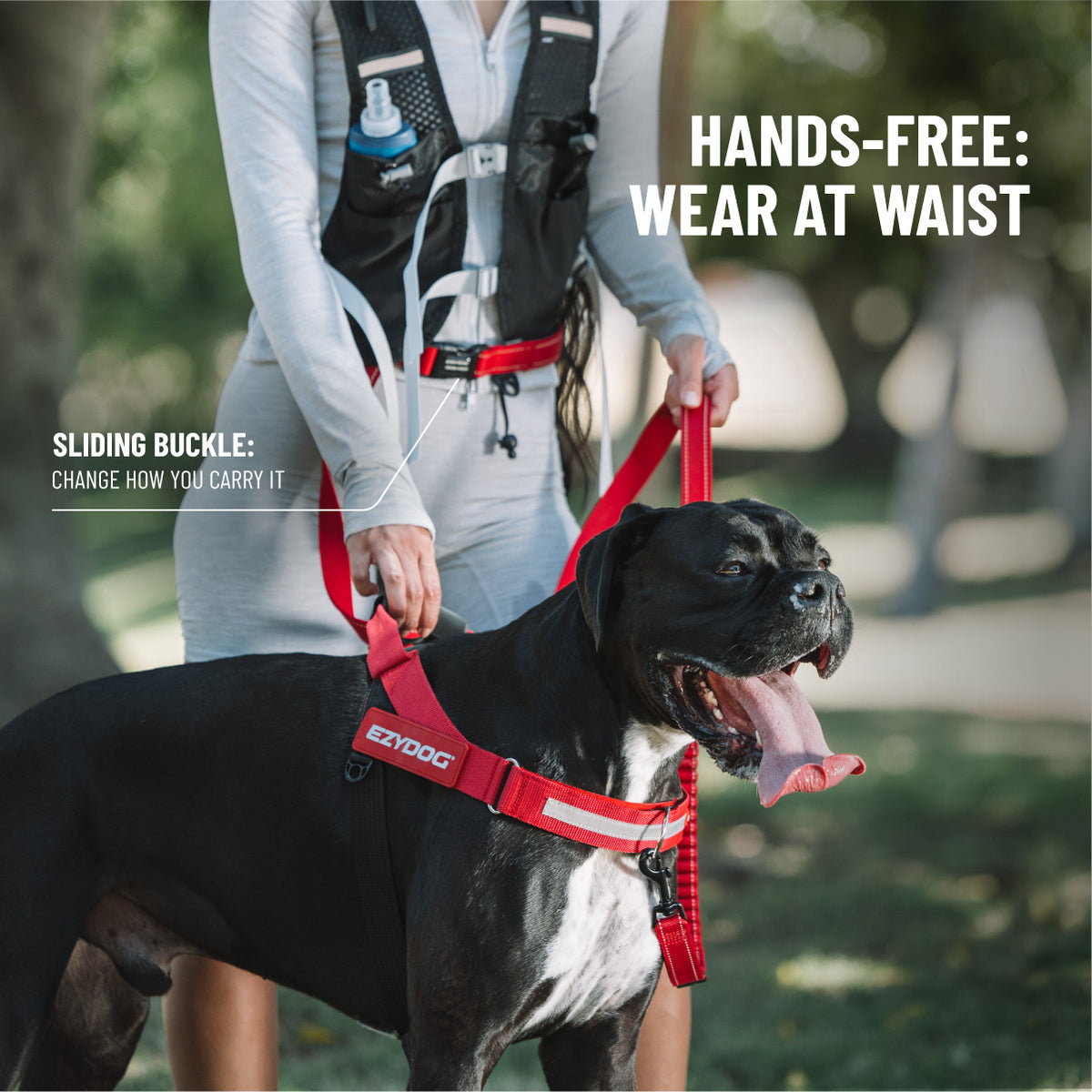 Road Runner Leash