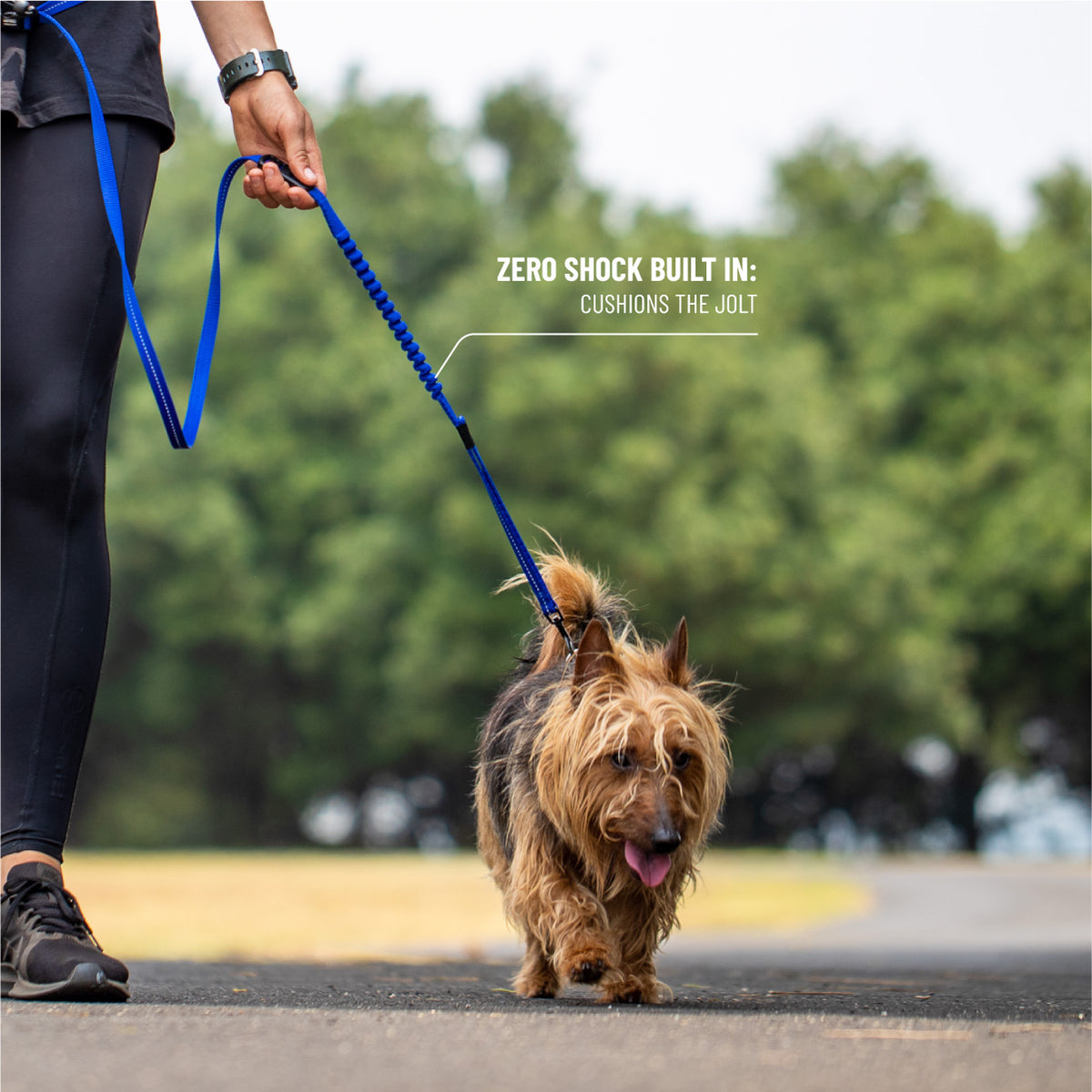 Road Runner Leash