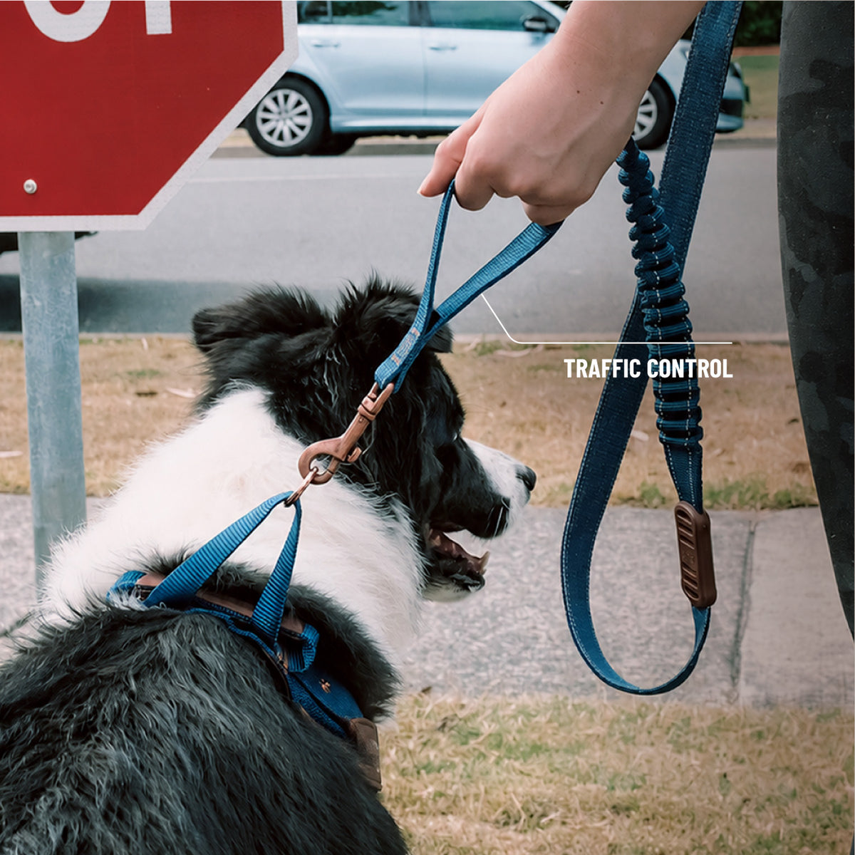 Road Runner Leash
