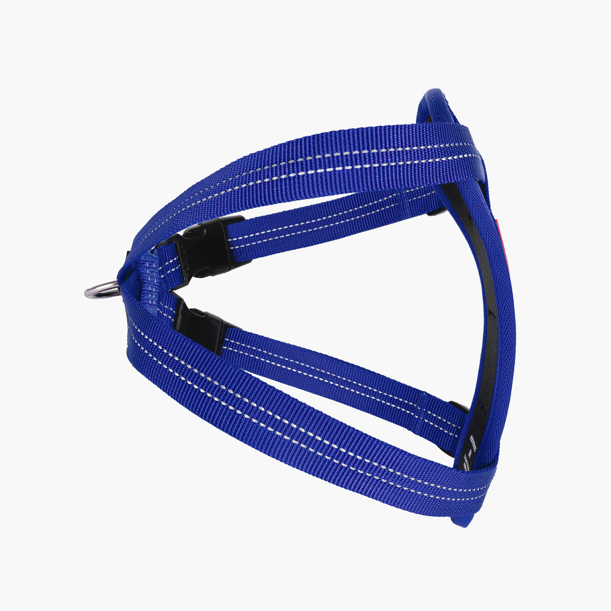 Blue dog harness on a white background