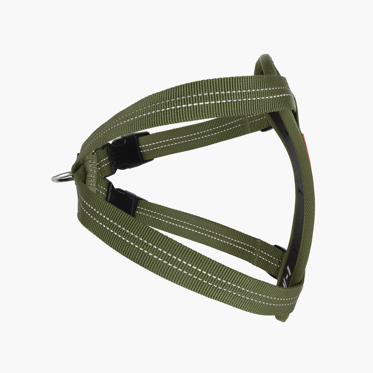 Green dog harness on a white background