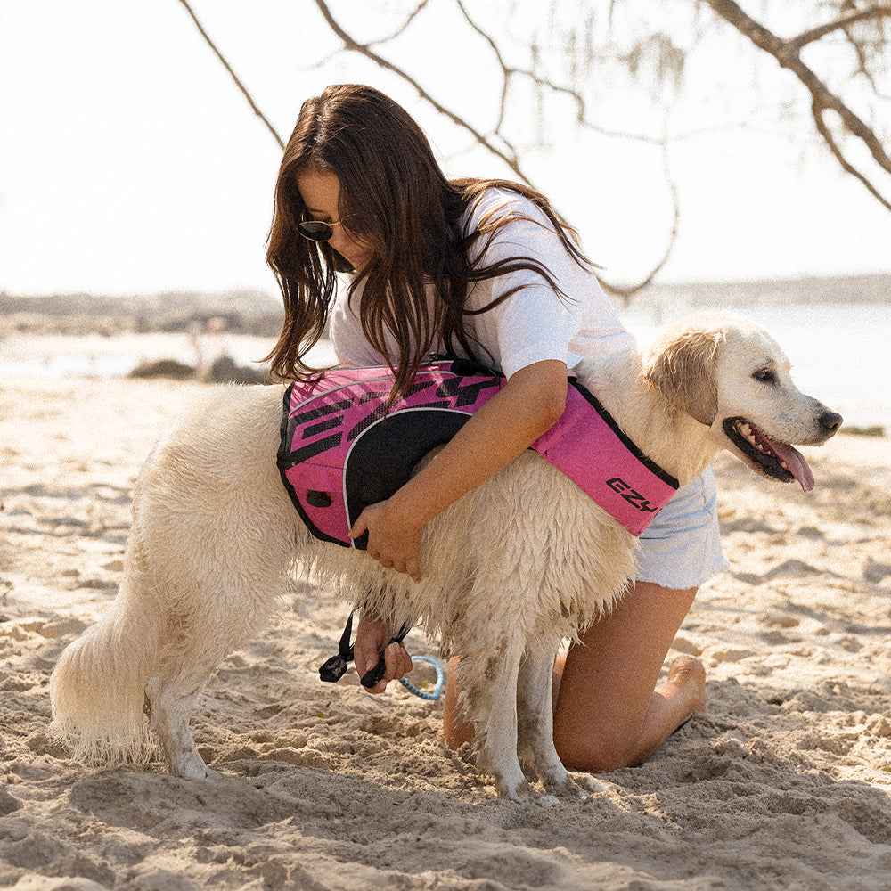 Golden retriever on a beach wearing a pink EzyDog life jacket.