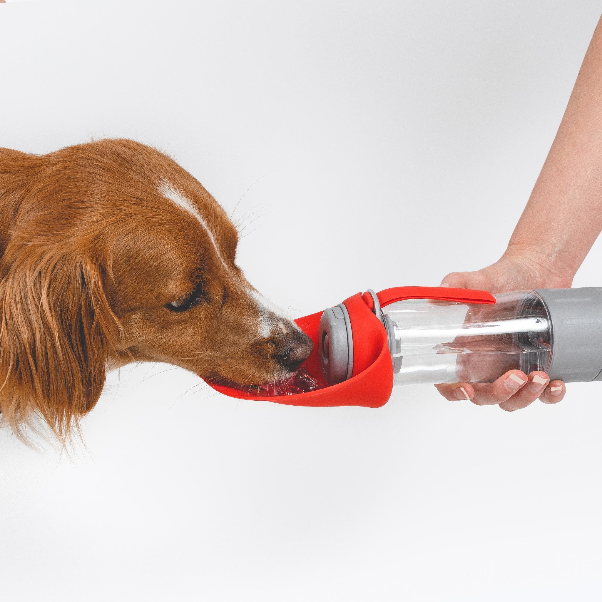 EzyDog Leaf bottle pro
