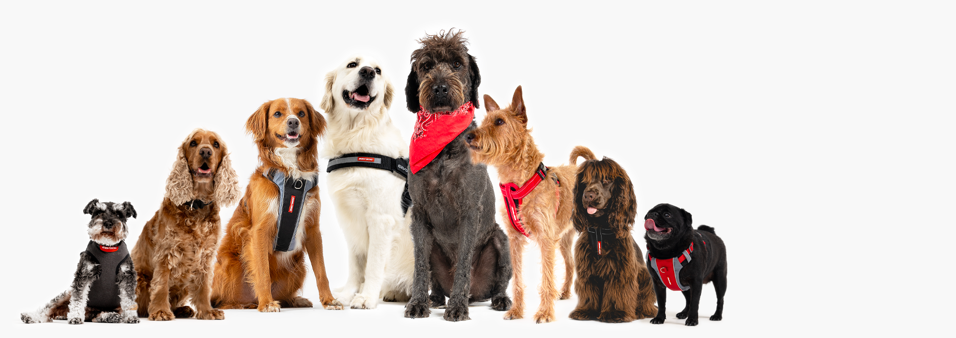 Page Banner ABOUT US Desktop