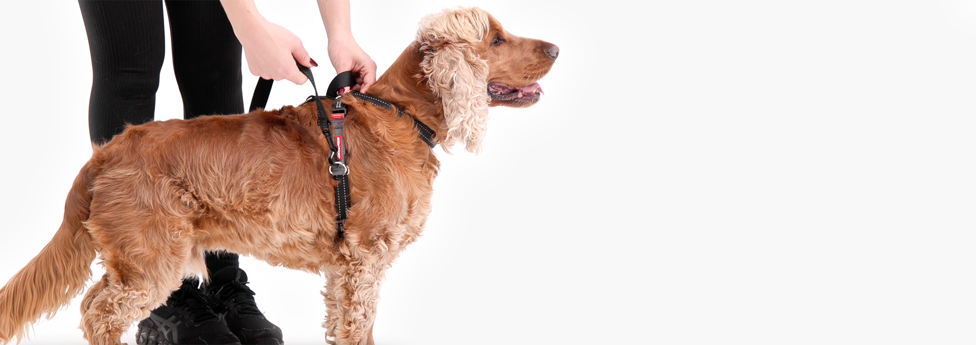 Page_Banner_CONSULTATION