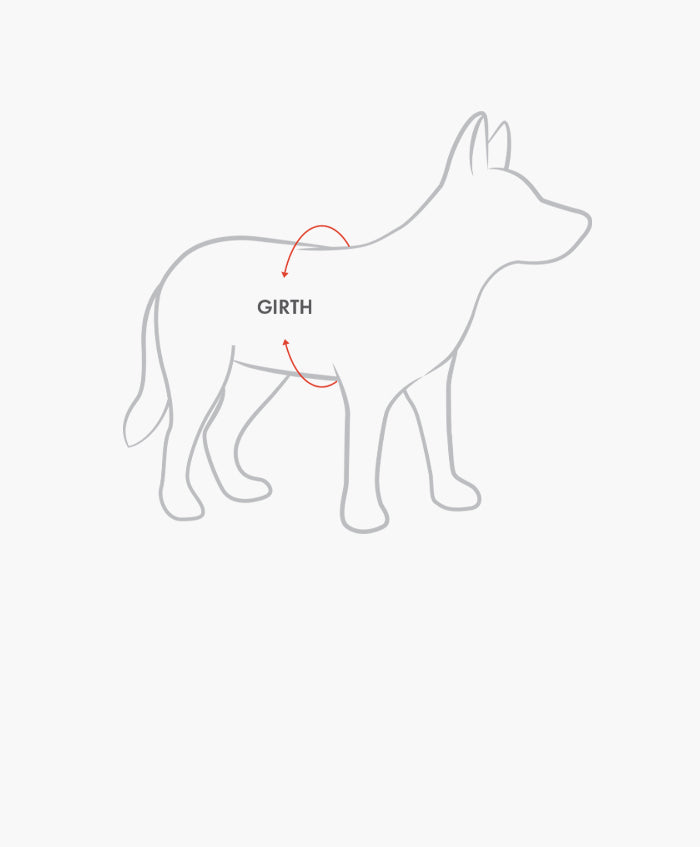 Sizing Dog Girth