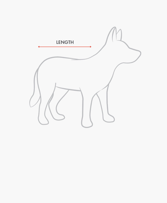 Sizing Dog Length