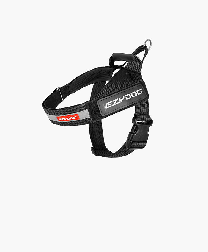 Express Harness Size Guide