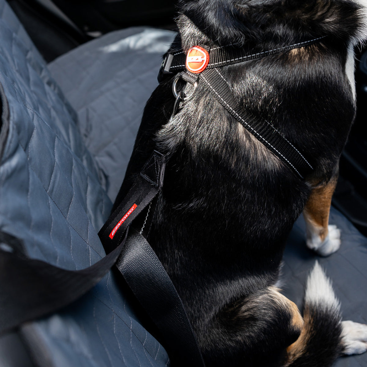 EzyDog Dog Seat Belt Restraint Attached to Harness – Safe and Secure Dog Car Travel