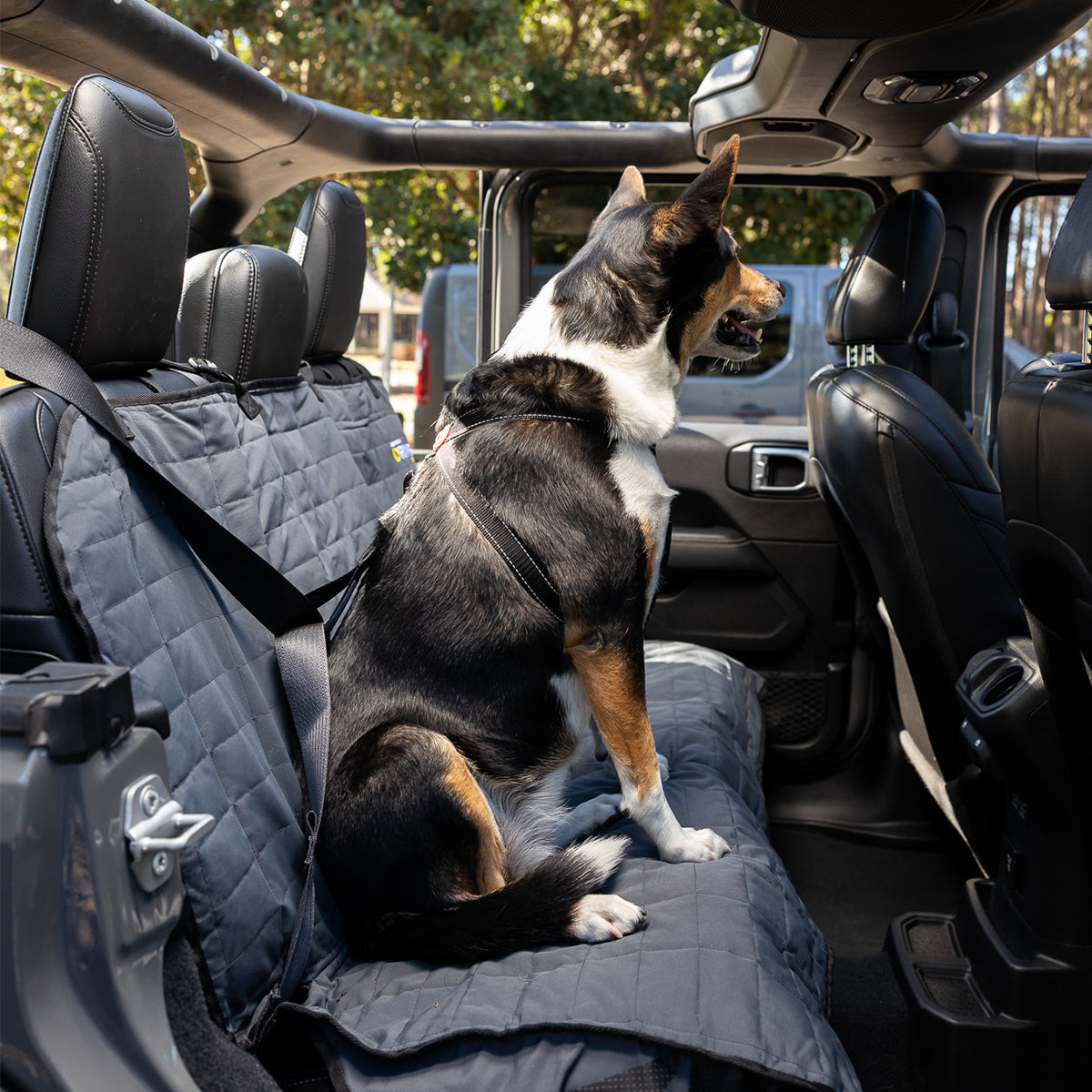 Dog Securely Using EzyDog Dog Seat Belt Restraint in Car – Safe and Comfortable Travel for Your Pet
