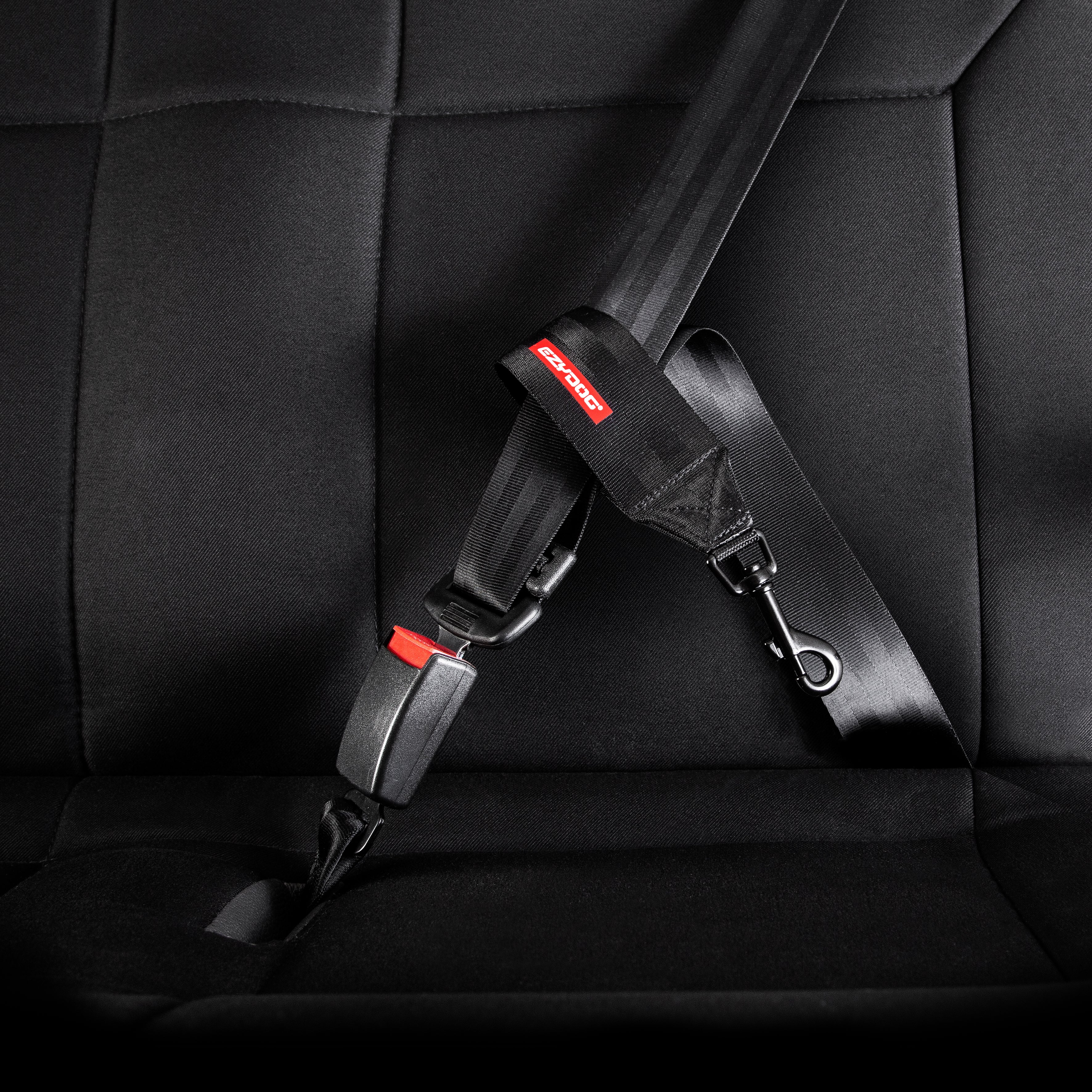 EzyDog Dog Seat Belt Restraint Installed in Car – Secure, Durable, and Safe for Your Dog’s Travel Comfort