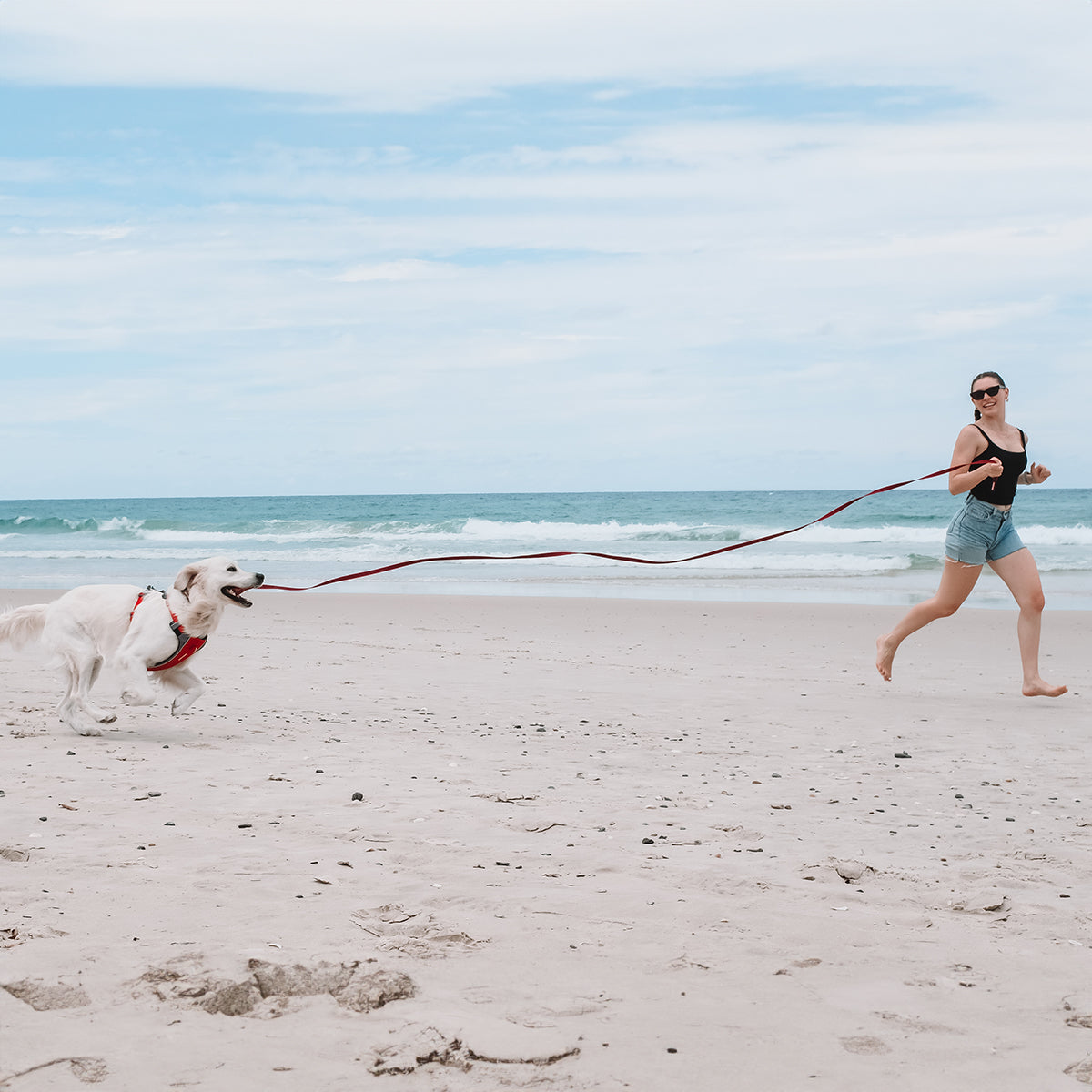 Dog running on the beach with EzyDog Track N Train 5m Long Dog Lead – Red Leash for Training and Recall