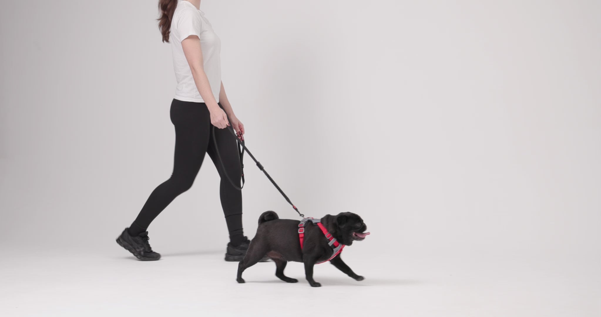 Zero Shock LITE Walkby video