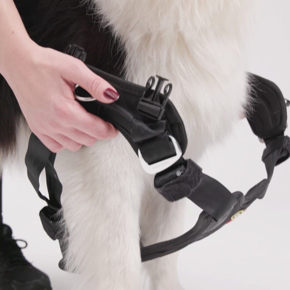 Drive Harness Fitting video