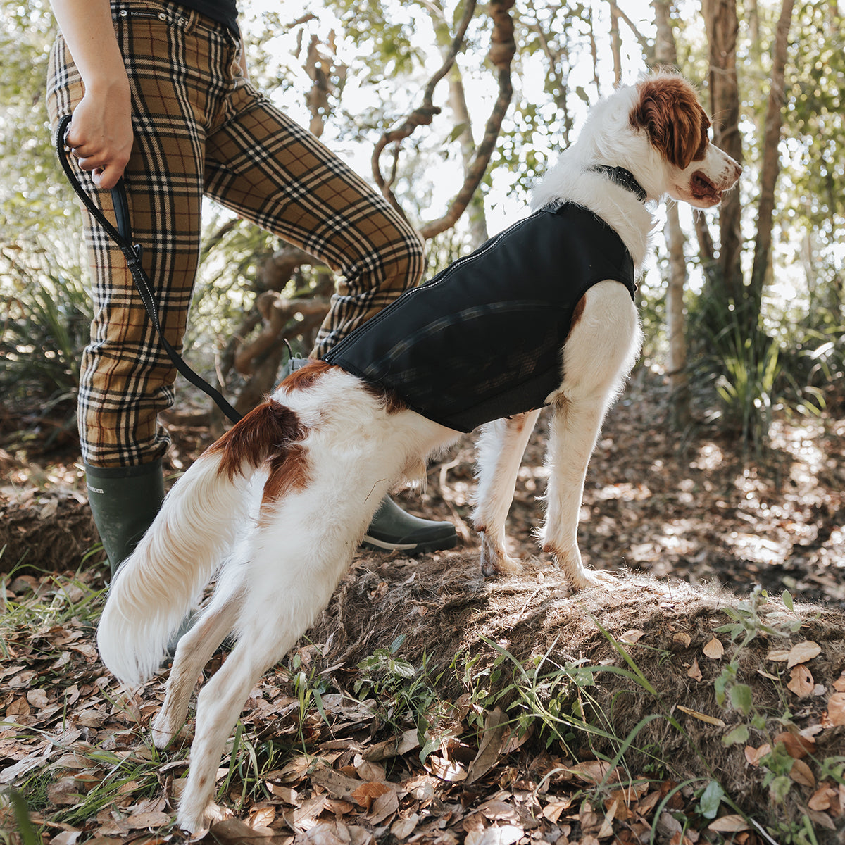 Thermal Dog Vest for Walking