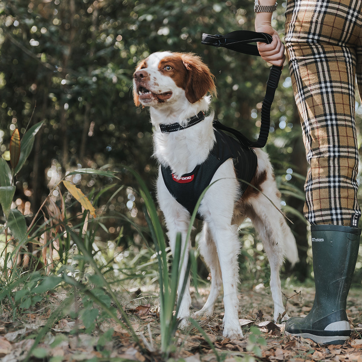 EzyDog Thermal Dog Vest