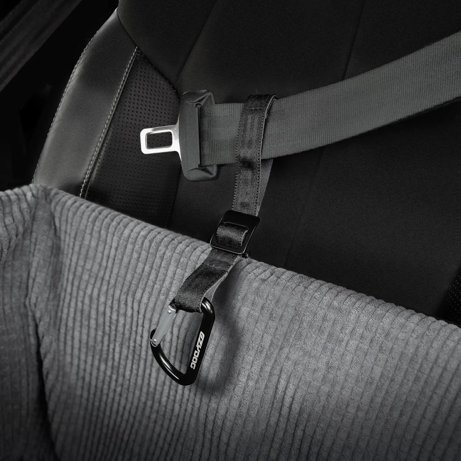 Dog Car Seat Belts