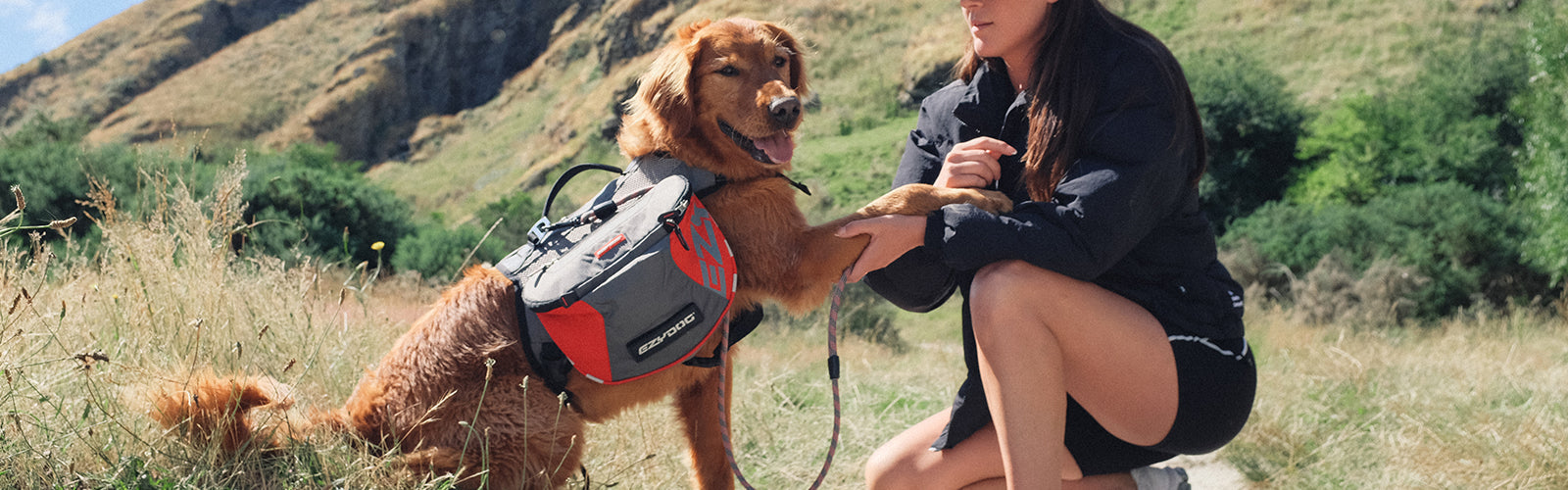 Summer Adventure Dogs