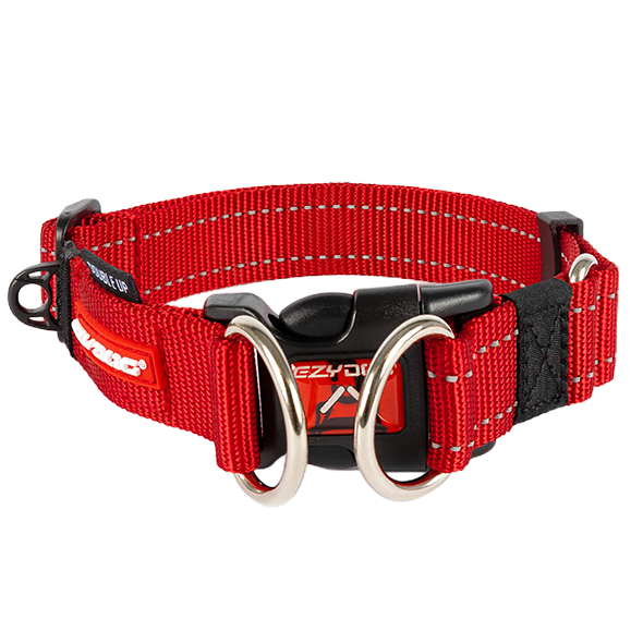 Dog Collars NZ