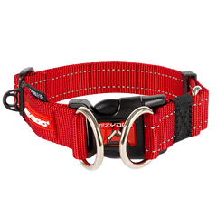 Dog Collars NZ