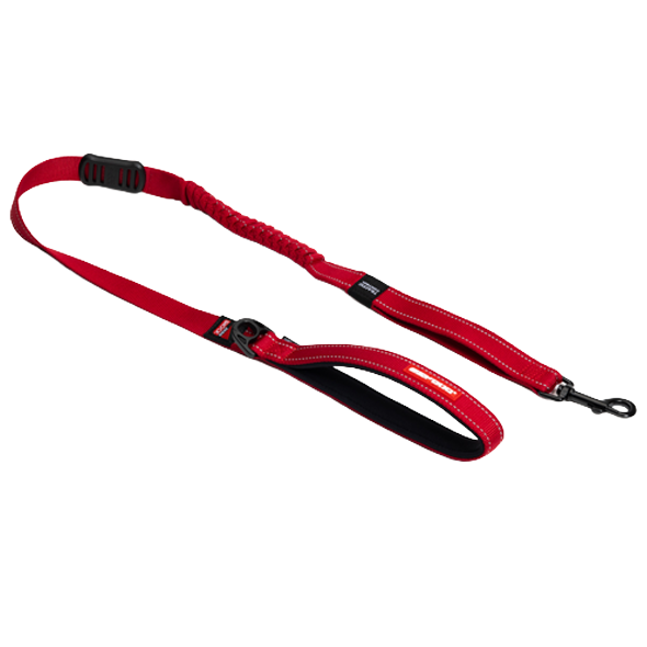 Dog Leashes NZ