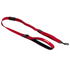 Dog Leashes NZ